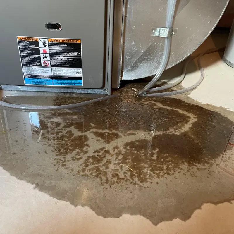 Appliance Leak Cleanup in Dixfield, ME